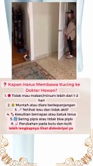 ❓ Kapan Harus Membawa Kucing ke Dokter Hewan