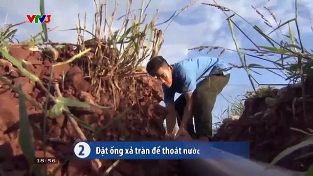 VTV3 | Cách phòng tránh thiên tai: Cách bảo vệ lồng bè và nuôi trồng thuỷ sản