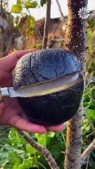 Fresh and yummy fruit! 🍉🥭