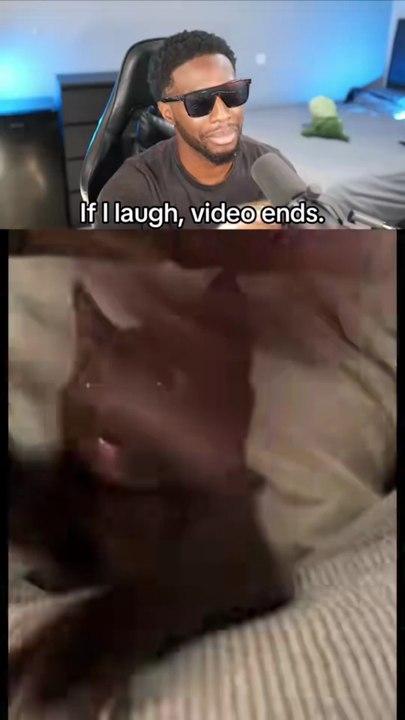 Funny Try Not To Laugh Challenge (Part 6)