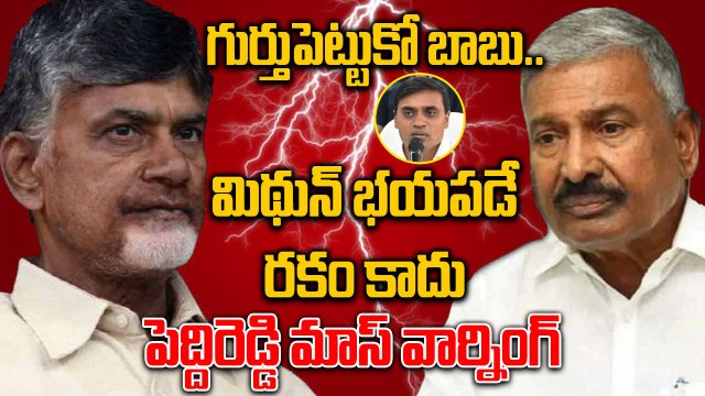 Peddireddy Ramachandra Reddy - ఏపీలో తాలిబాన్ల పాలన | MP Mithun Reddy Arrest | Oneindia Telugu