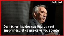 Ces niches fiscales que Bayrou veut supprimer… et ce que ça va vous coûter
