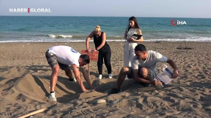 Mersin sahillerinde deniz kaplumbağalarının ilk yavruları Akdeniz'le buluştu