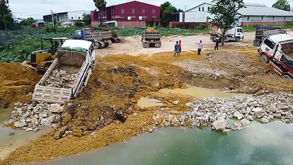 Wow Dangerous Time New Project !! The First Dump Truck 5T Back Uploading Fail Deeping in pond
