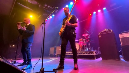 The Angels - Mr Damage