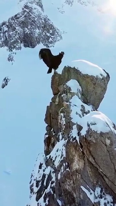 motivation
