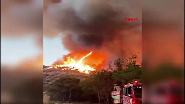 Bilecik'teki orman yangınında ateş hortumu oluştu