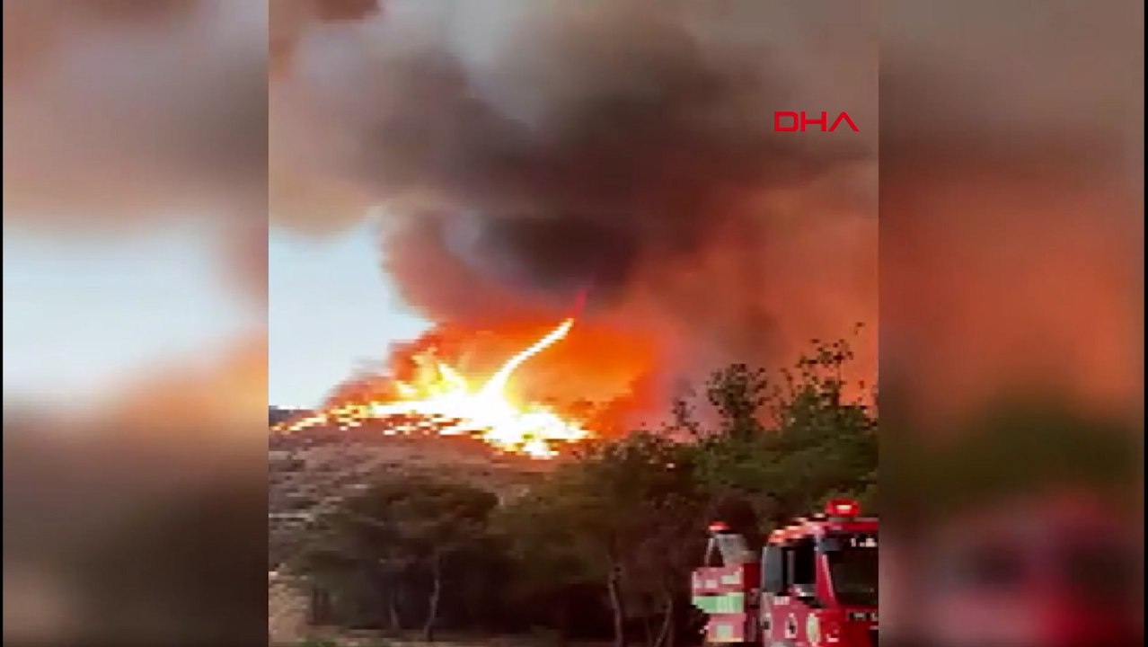 Bilecik'teki orman yangınında ateş hortumu oluştu