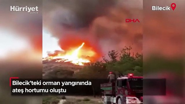 Bilecik’teki orman yangınında ateş hortumu oluştu