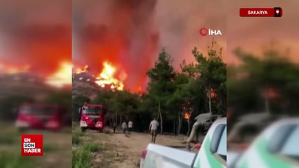Sakarya'daki orman yangınında nefes kesen görüntüler