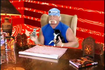 Hogan Knows Best Season 1 Episode 3 Brooke's Big Break