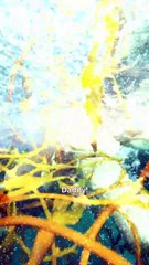 My Father, My Hero ReelShort