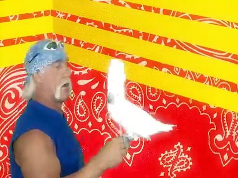 Hogan Knows Best Series 2 Episode 1 Brooke Breaks Away