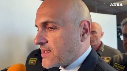 Incendi in Sardegna, Prisco: "Lavoriamo a un piano strategico nazionale"