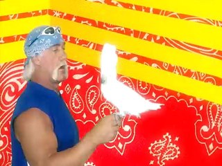 Hogan Knows Best Series 2 Episode 4 Nick Gets the Bug