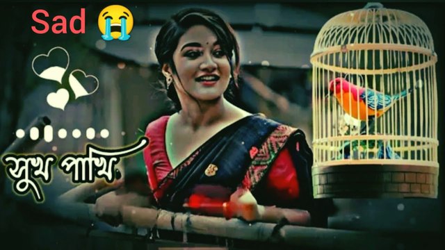 Sukh Pakhi Tore Preme Mon Mojaiya Ami | সুখ পাখি তোর প্রেমে মন মজাইয়া আমি | Bangla Romantic Song 2025