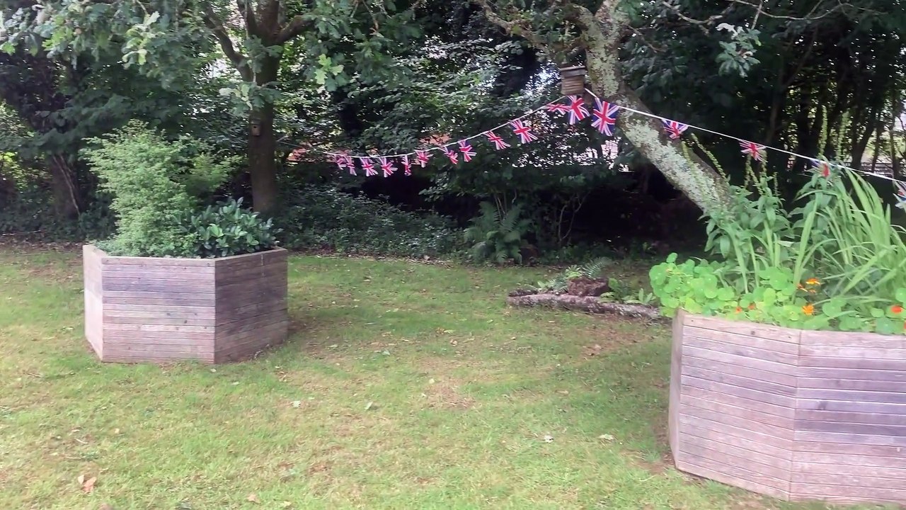 Woolwell 'Bloomers' with their display