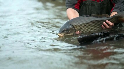 Comienza la pesca del campanu