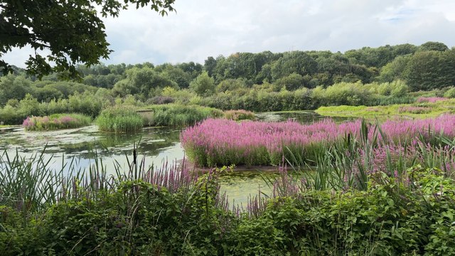Rodley Nature Reserve reflects on 25th anniversary