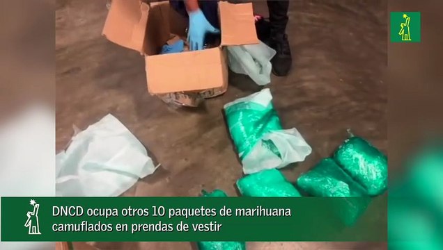 DNCD ocupa otros 10 paquetes de marihuana camuflados en prendas de vestir