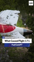 What Caused the Flight 171 Fuel Cutoff?