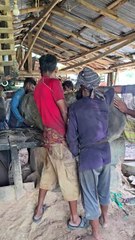 This tree cutting technique is very different