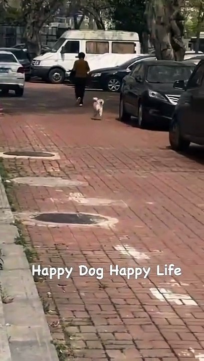 Cause I'm happy