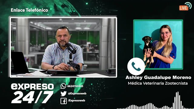 Noticiero Expreso 24/7 (1491)