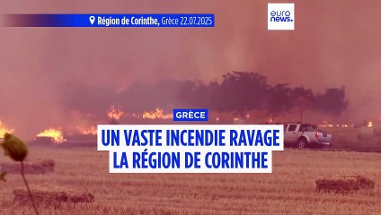 Grèce : un immense feu de forêt ravage la région de Corinthe, deux suspects arrêtés