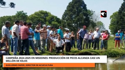 Campaña 2024-2025 en Misiones: Producción de peces alcanza casi un millón de kilos