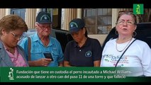 Fundación que tiene en custodia el perro incautado a Michael Williams, acusado de lanzar a otro can del puso 11 de una torre y que falleció