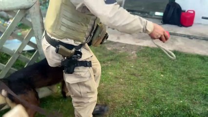 Sobe para cinco o número de mortos no Extremo Sul da Bahia