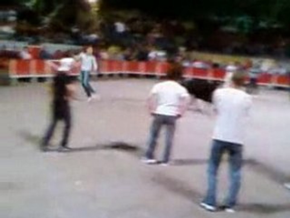 feria caissargue 2