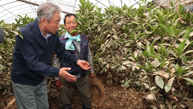 [기업] 농협, 집중호우 피해복구 위해 성금 50억 원 기부 / YTN