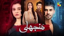 Manjhli ep 41 Pakistani drama