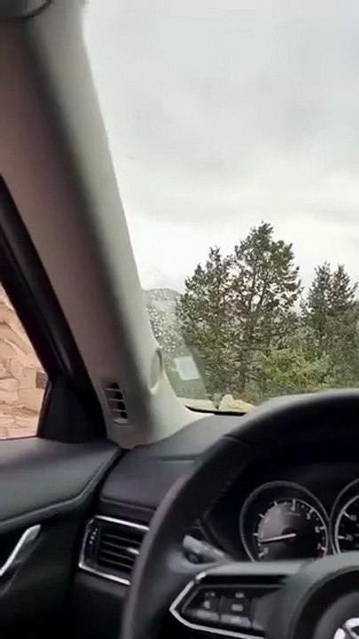 Estes Park Colorado | Ultimate Rocky Mountain Adventure #viralvideo #adventure #trending #nature