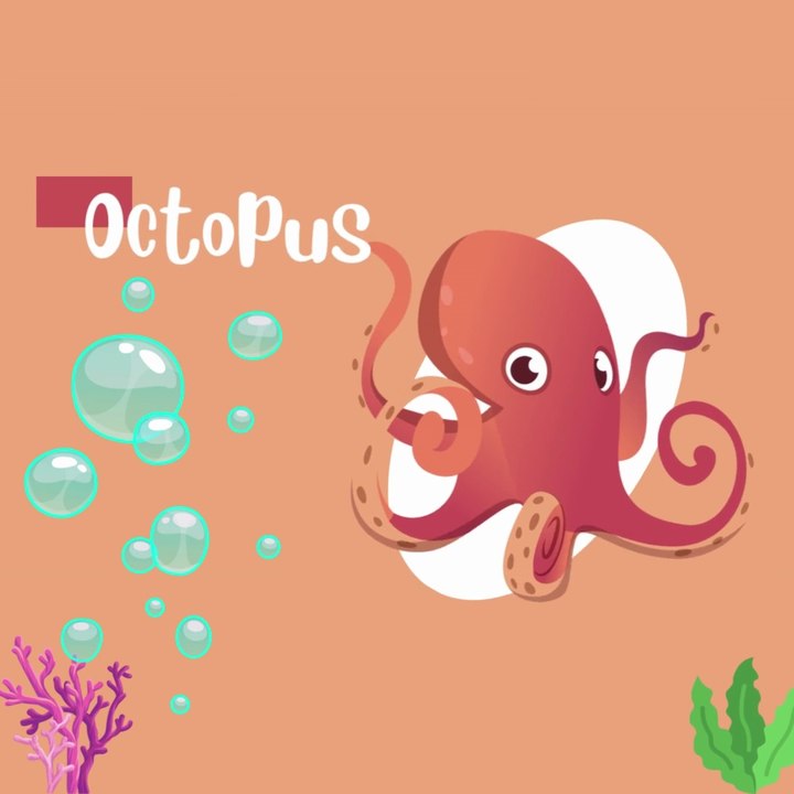 Discover the Strangest Ocean Animals Ever Seen | Weird Deep Sea Creatures & Marine Life for Kids |Education Videos | Preschool Learning |