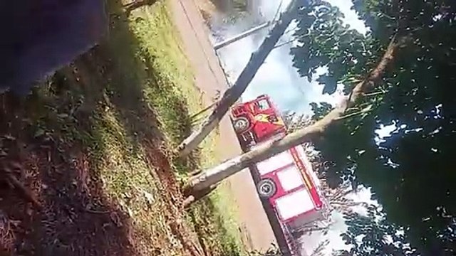 Bombeiros combatem incêndio em vegetação em lote baldio no Turisparque