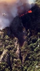 'Tarihin yazdığı en sıcak gün': İl ve ilçelerde orman yangınları