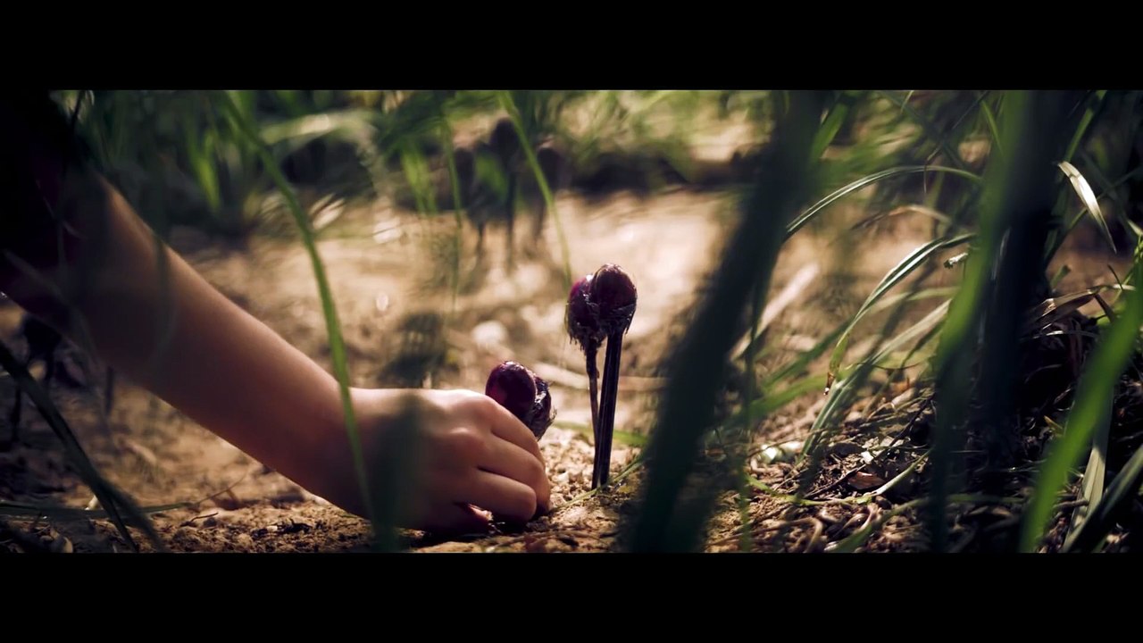 Ich liebe alles was ich an dir hasse 2019 Trailer 1 deutsch