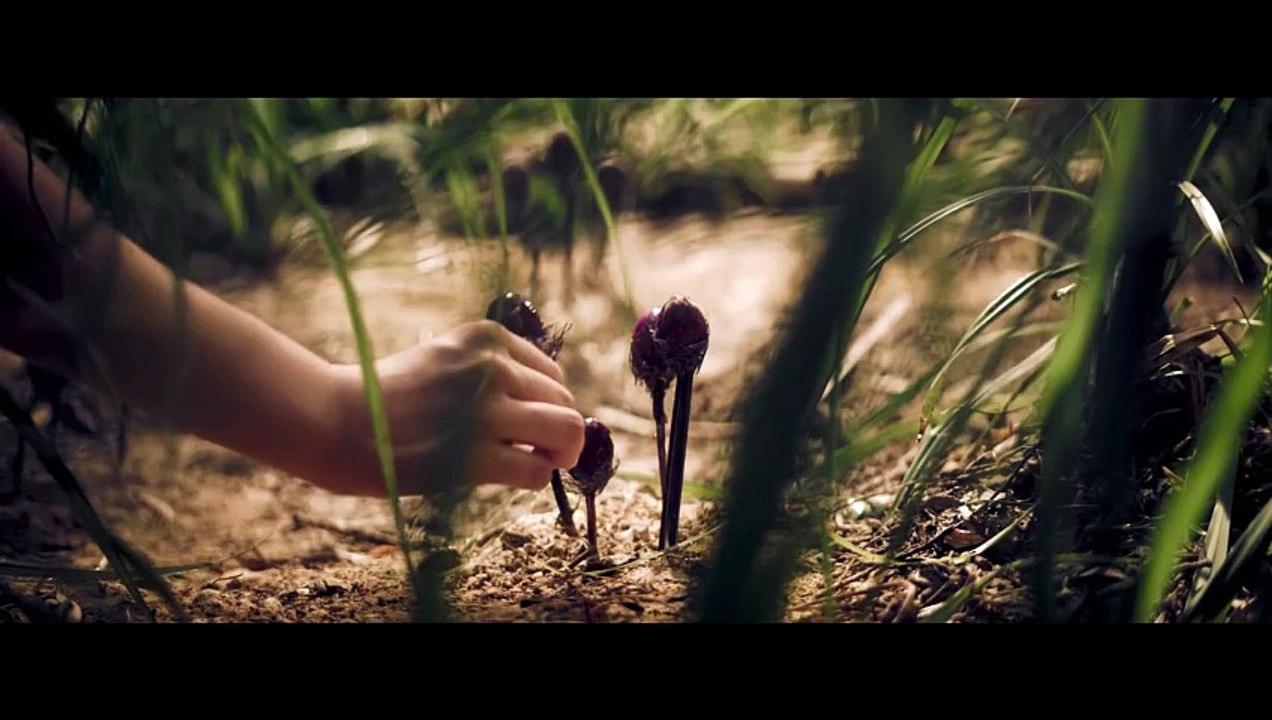 Ich liebe alles was ich an dir hasse 2019 Trailer 2 deutsch