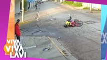 Perro 'atropella' a motociclista y se fuga