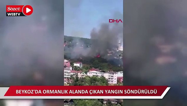 Beykoz'da ormanlık alanda çıkan yangın söndürüldü