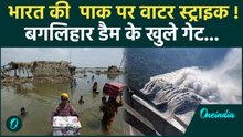 Weather Update: जम्मू-कश्मीर में भारी बारिश के बाद खोले गए Salal dam के Gate | Chenab | वनइंडिया