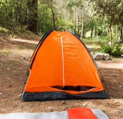 Maîtriser l'ART de la SURVIE : ASTUCES pour quand tout va mal !