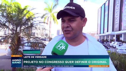 Leite de verdade: projeto no Congresso quer definir o original