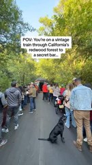 This Train Ride Takes You Through the California Redwood Forest