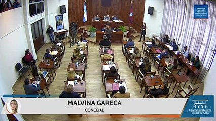 Malvina Gareca dijo que "intentaron tapar el caso" del concejal Pablo López