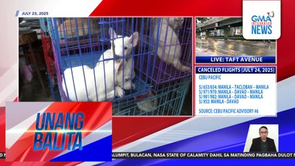 Ilang hayop sa petshop, iniligtas sa baha sa Arranque Public Market sa kasagsagan ng ulan | Unang Balita
