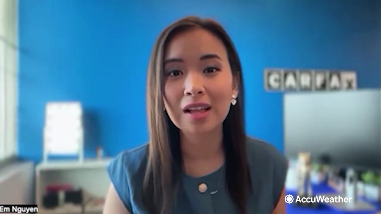 Flooded cars could flood the marketplace this year